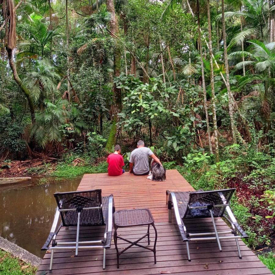 Sonho Do Campo *